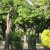 campingyuste (38)